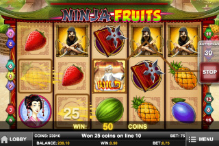 fruit ninja slot machine