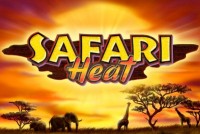 Safari Heat Mobile Slot Logo