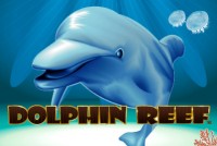 Dolphin Reef Mobile Slot Logo