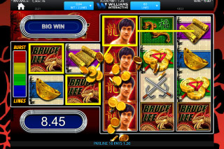 Bruce Lee Slot Game