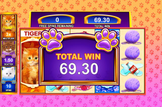 Omg kitty slot machine free play