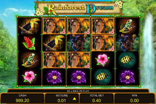 rainforest dream slot