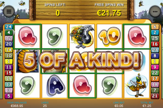 bonus bear slot free play