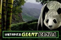 Untamed Giant Panda Mobile Slot Logo