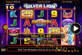 Lion slots casino