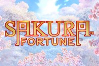Sakura Fortune Mobile Slot Logo