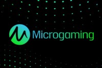 Microgaming Casino Slots Provider