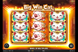 Big Win Cat  Mobile  Slot Review