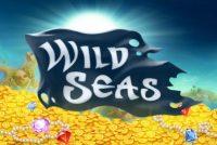 Wild Seas Mobile Slot Logo