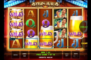 Stein Haus slot