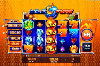 Wild fury slots for free