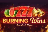 Burning Wins Classic 5 Lines Slot Logo