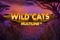 Wild Cats Multiline Mobile Slot Logo