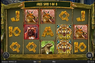 Coywolf cash slots