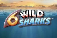 6 Wild Sharks Mobile Slot Logo