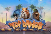 Top Dawg$ Slot Logo