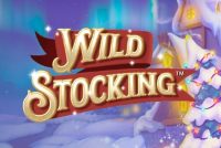 Wild Stocking Slot Logo