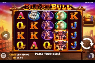 bulls bet casino