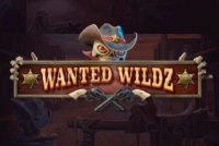 Wanted Wildz Slot Logo