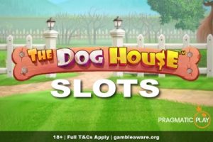 Pragmatic Play The Dog House Slots Series