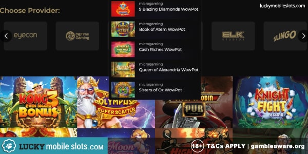 Pub Casino Jackpot Games
